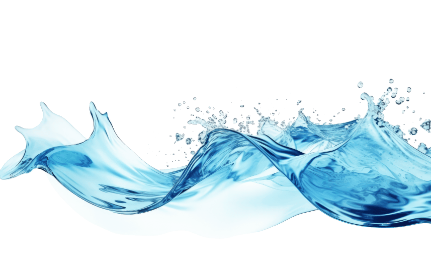 Химчистка ковров в Бишкеке